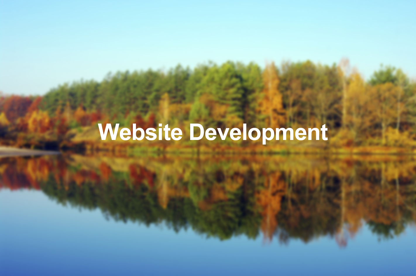 Website Development